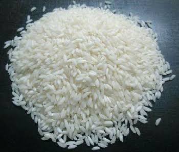 নাজিরশাইল